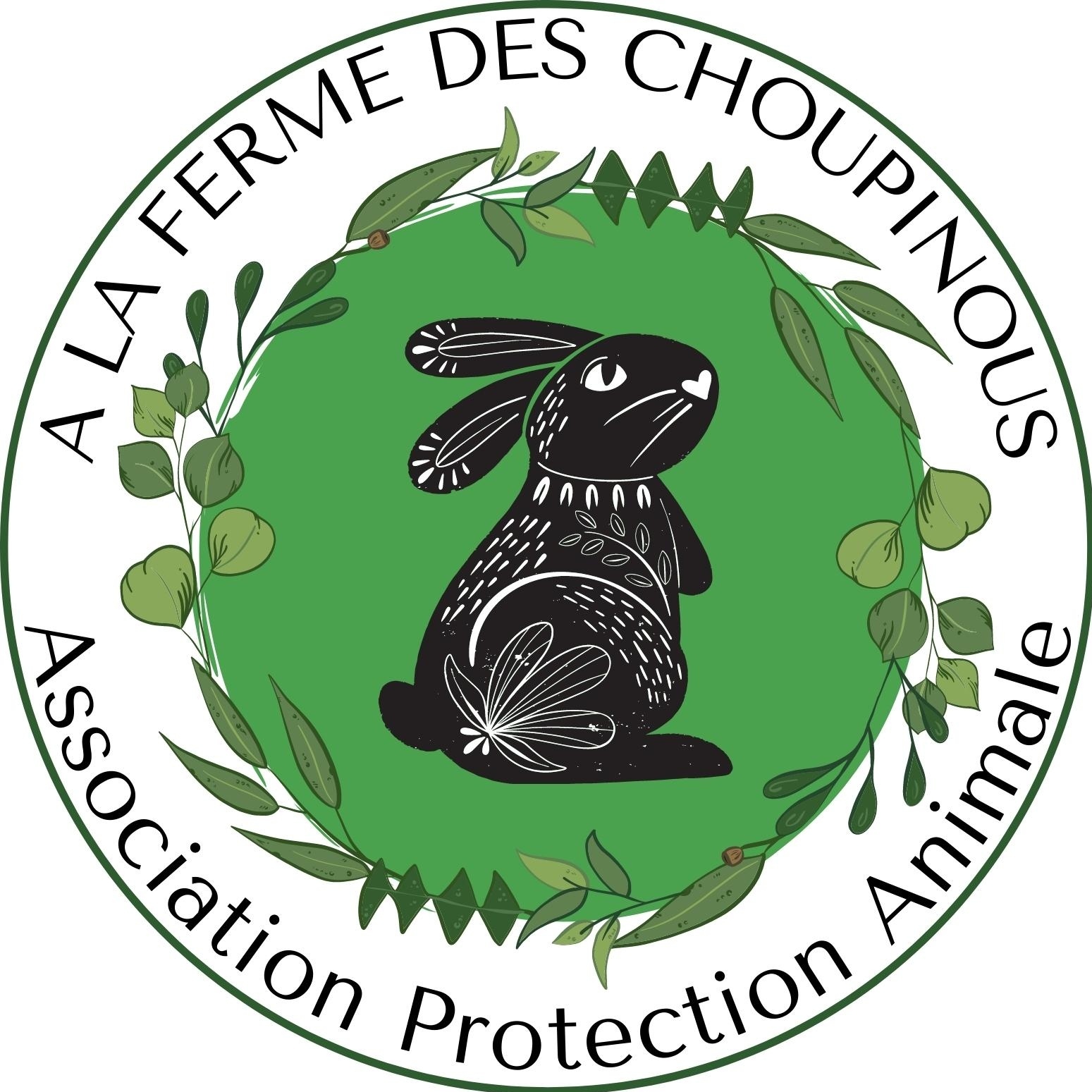 Profil de l'organisateur