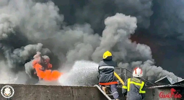 Profil de l'organisateur