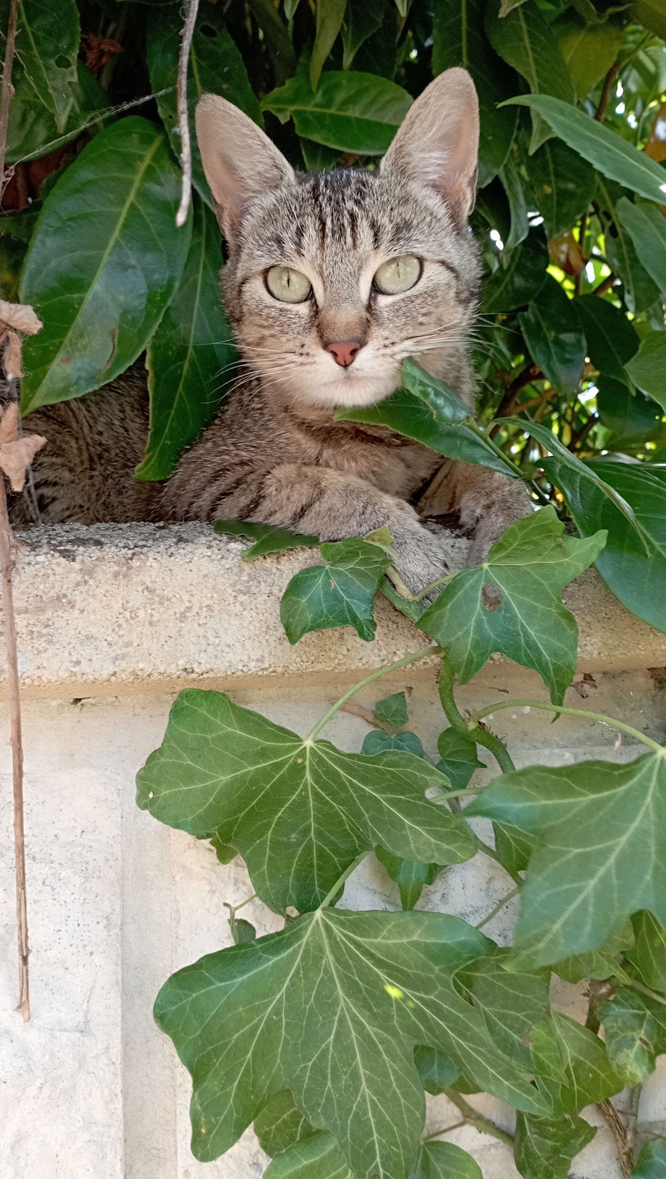 Profil de l'organisateur